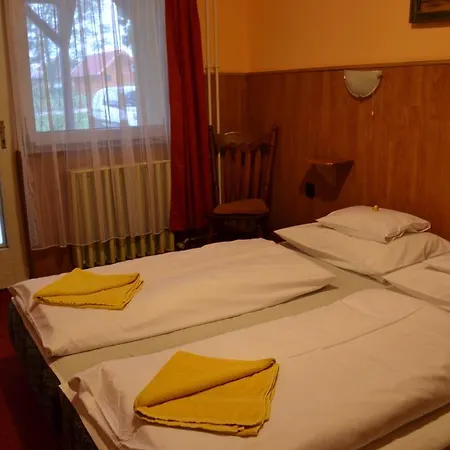 Fekete Macska Panzio Pensjonat *