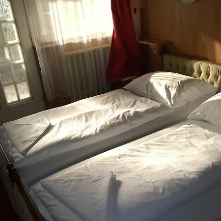 Fekete Macska Panzio Pensjonat *